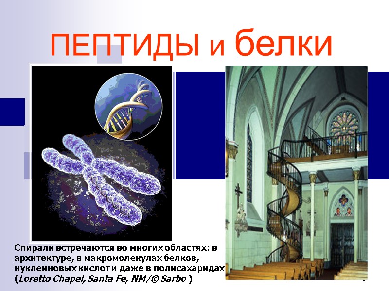 1 ПЕПТИДЫ и белки Спирали встречаются во многих областях: в архитектуре, в макромолекулах белков,